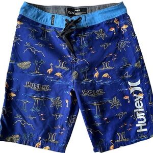 Hurley Boys Blue Graphic Swim Shorts